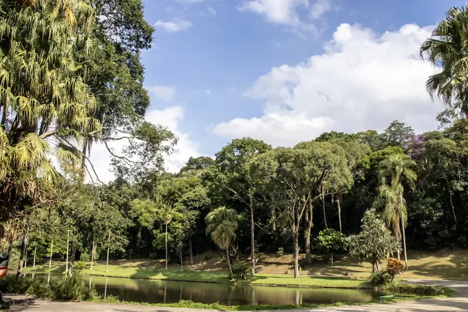 Parque das Fontes do Ipiranga.