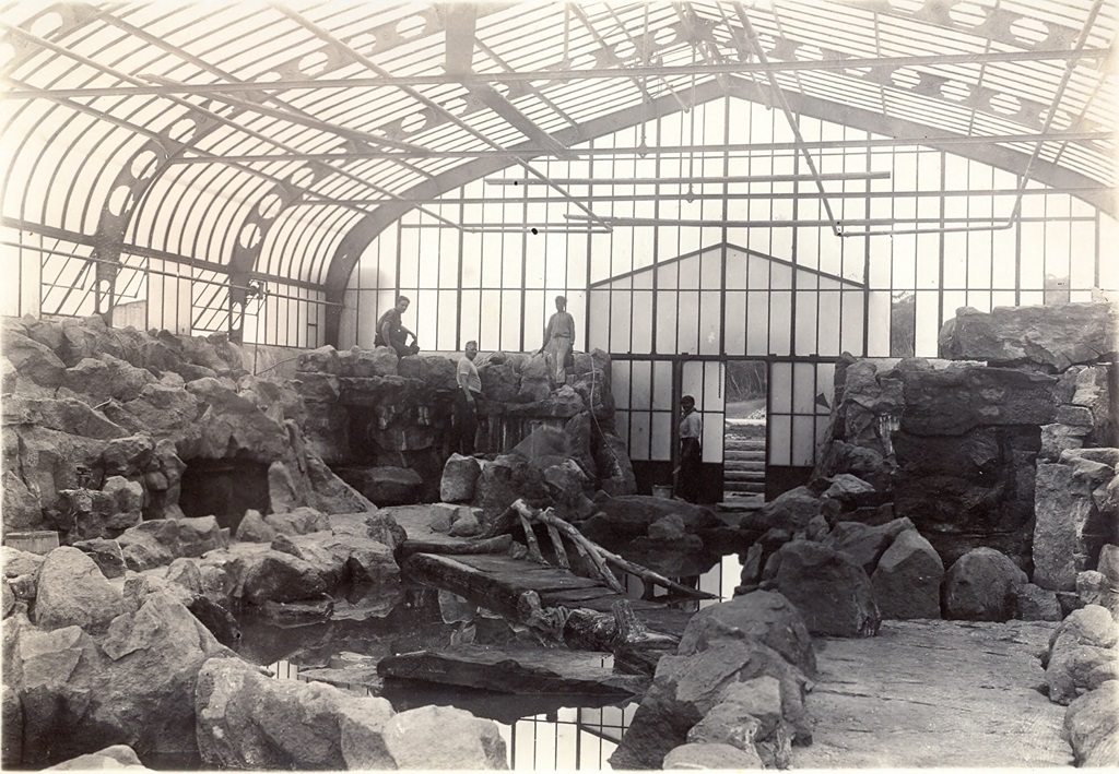 Construção das estufas do Jardim Botânico, em 1929.