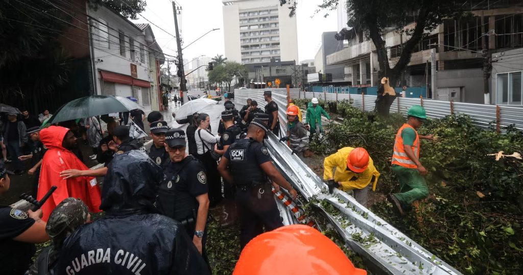 Prefeitura segue derrubando árvores centenárias, ainda que contra a vontade da população e pareceres técnicos, como as árvores da Av. Sena Madureira.