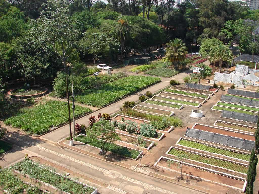 As "quadras" do viveiro, onde são cultivadas as mudas.