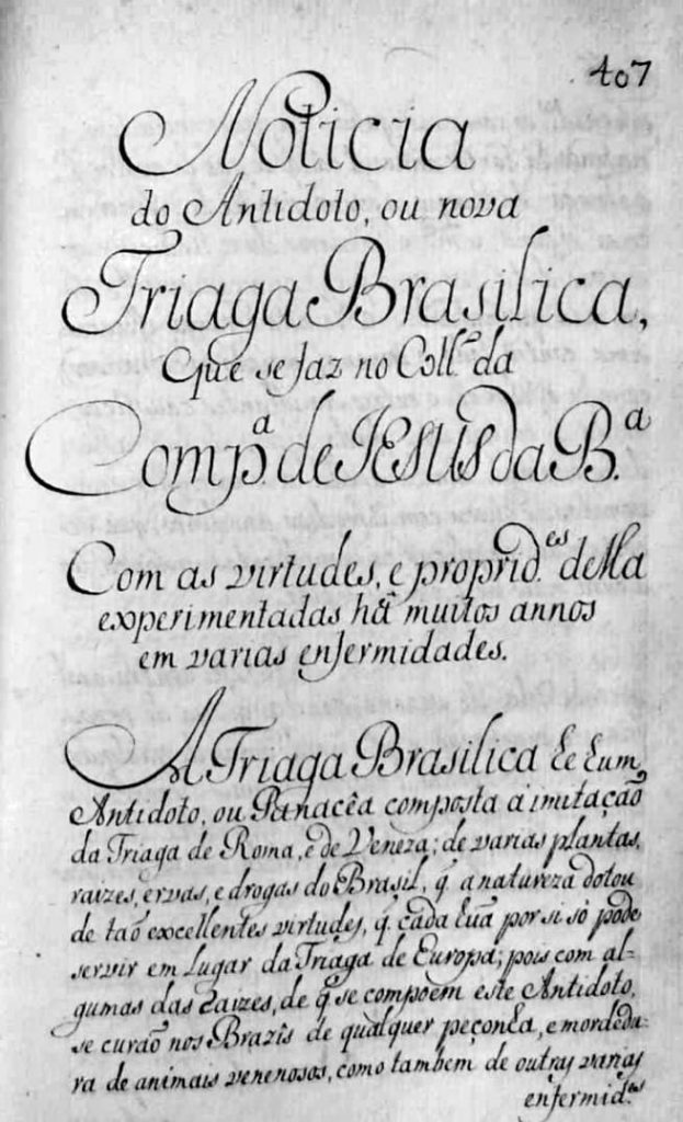 Nos tempos coloniais a Triaga Basilicata, criada pelos Jesuítas, era o medicamento mais usado.
